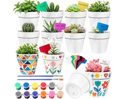 Bohoray 12 Stuks Mini Beschilderbare Plastic Bloempotten, Succulenten Plantenpotten, DIY Kunst Decoratie Bloempot Set Inclusief Penselen, Verven En Pl