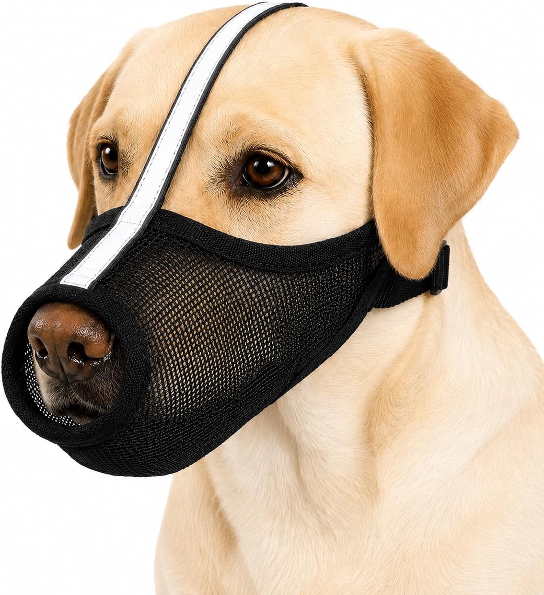 Reflecterende muilkorf voor honden, ademend en verstelbaar, geschikt voor mondomtrek 28-31 cm, duurzaam en veilig voor wandelingen