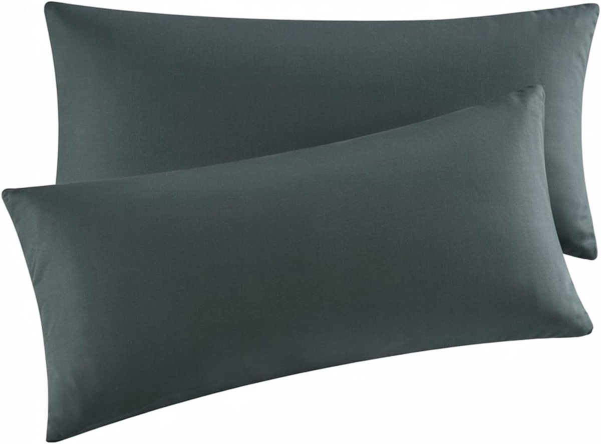Aisbo Kussensloop, 40 x 80 cm, set van 2 stuks, kussenslopen met ritssluiting, van microvezel, zacht, kussensloop - ShopVlot