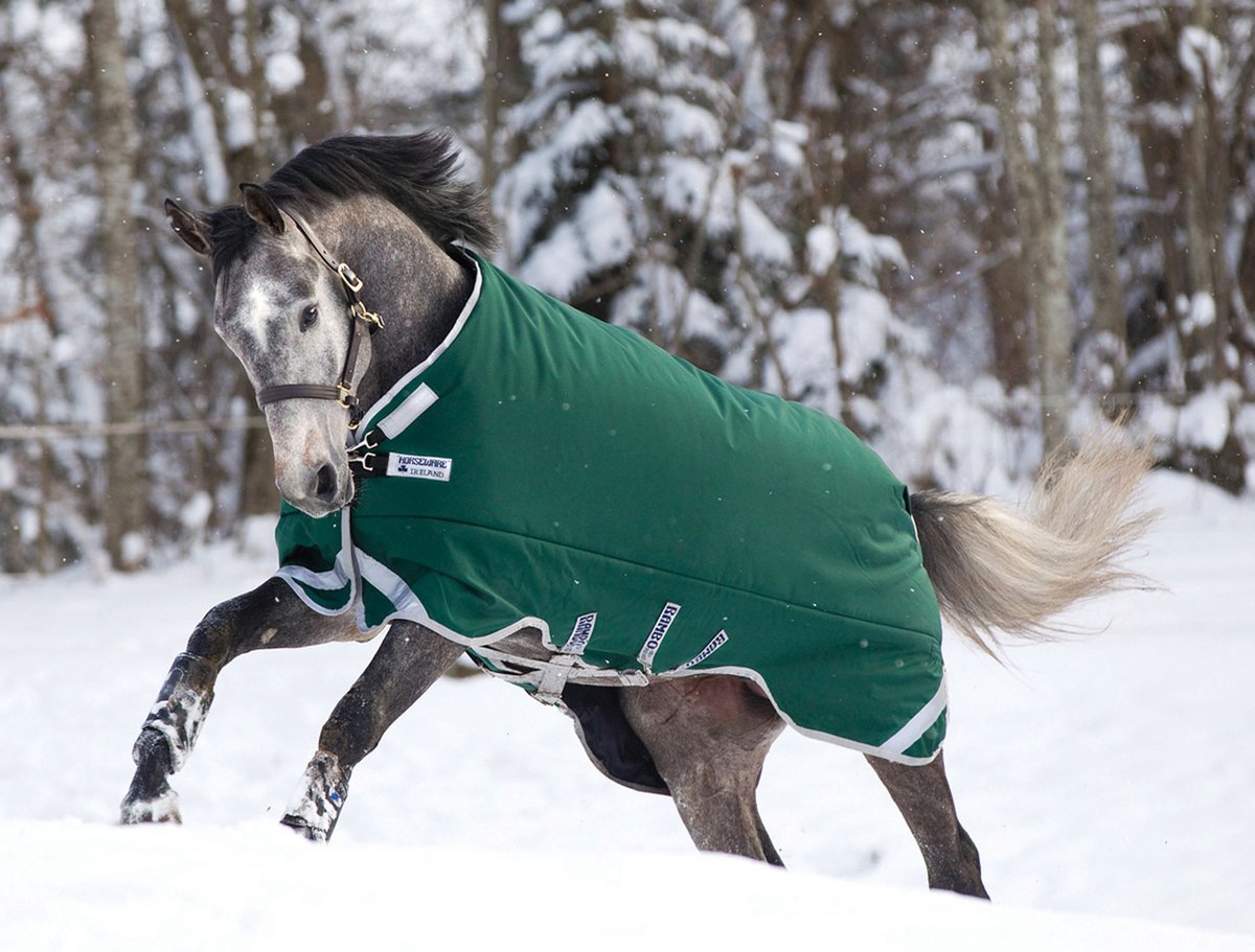 Rambo Original Turnout Heavy met beenuitsparingen 400g - Groen - 130-183 cm