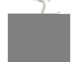 Melkkannetje RVS - Schuimkan - Koffie maken - Nauwkeurige maatmarkeringen - 350 ml - Zilver