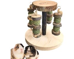 Hamster Knaagspeelgoed - Knaagdier Snacks - Tanden Onderhoud - Fruitige Geur - 14x13cm - Natuurlijk