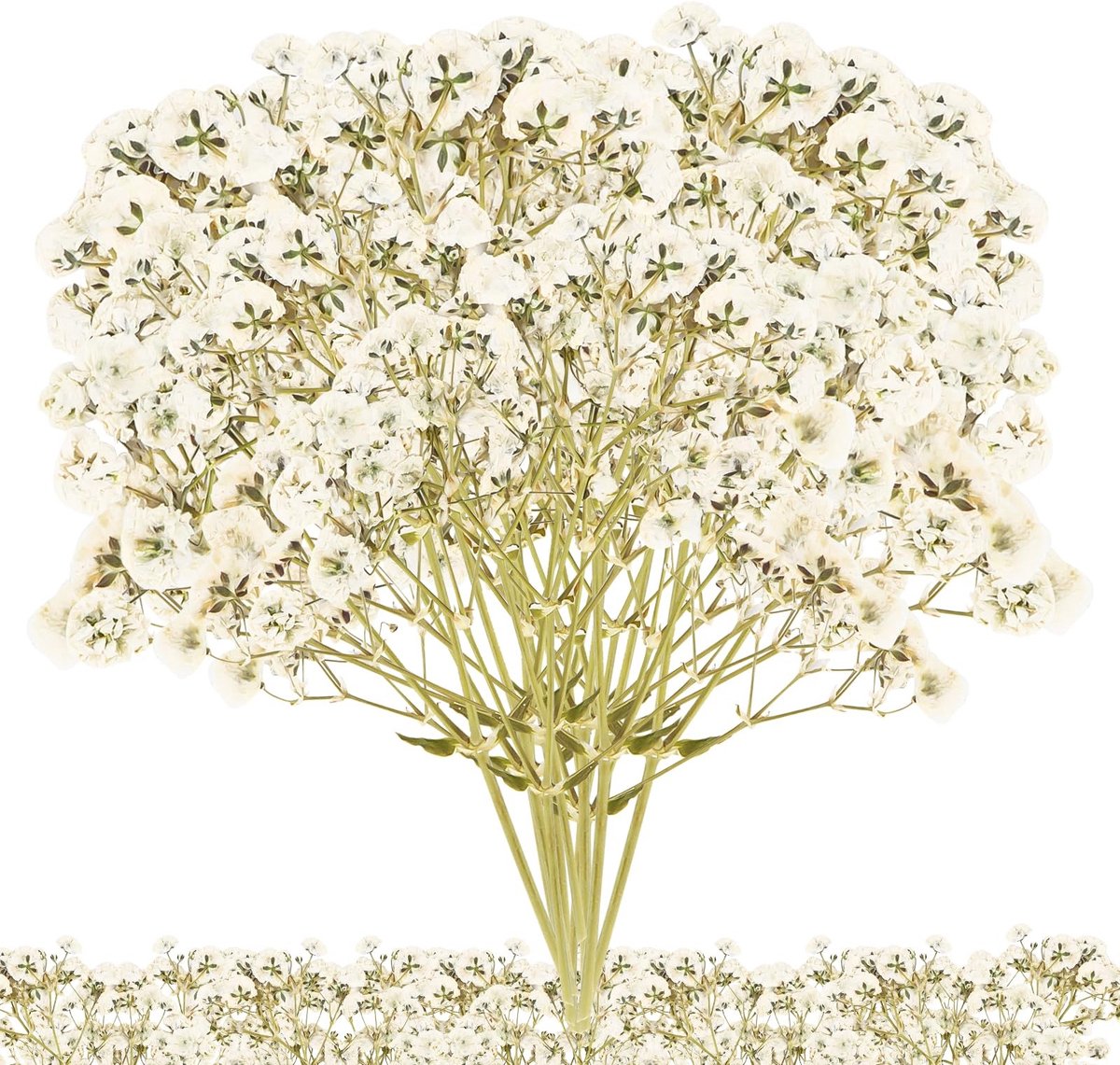 Dailygoods- Gedroogde Bloemen 100 Stuks - Mini-Gypsophila Boeket - Geperste Bloemen - Doe-Het-Zelf Sieraden - Handwerk - Bloemendecoratie - Droogbloemen
