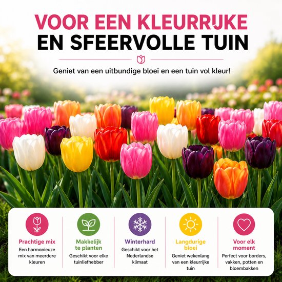 Een veld vol met kleurrijke tulpen in de kleuren roze, paars, rood, geel, wit en oranje.