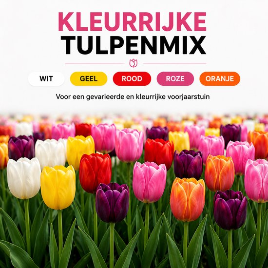 Een weelderige mix van tulpenbollen in de kleuren wit, geel, rood, roze en oranje.