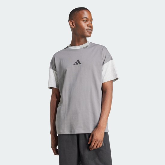 Adidas Sportswear All Szn Colorblock T-Shirt - Heren - Grijs