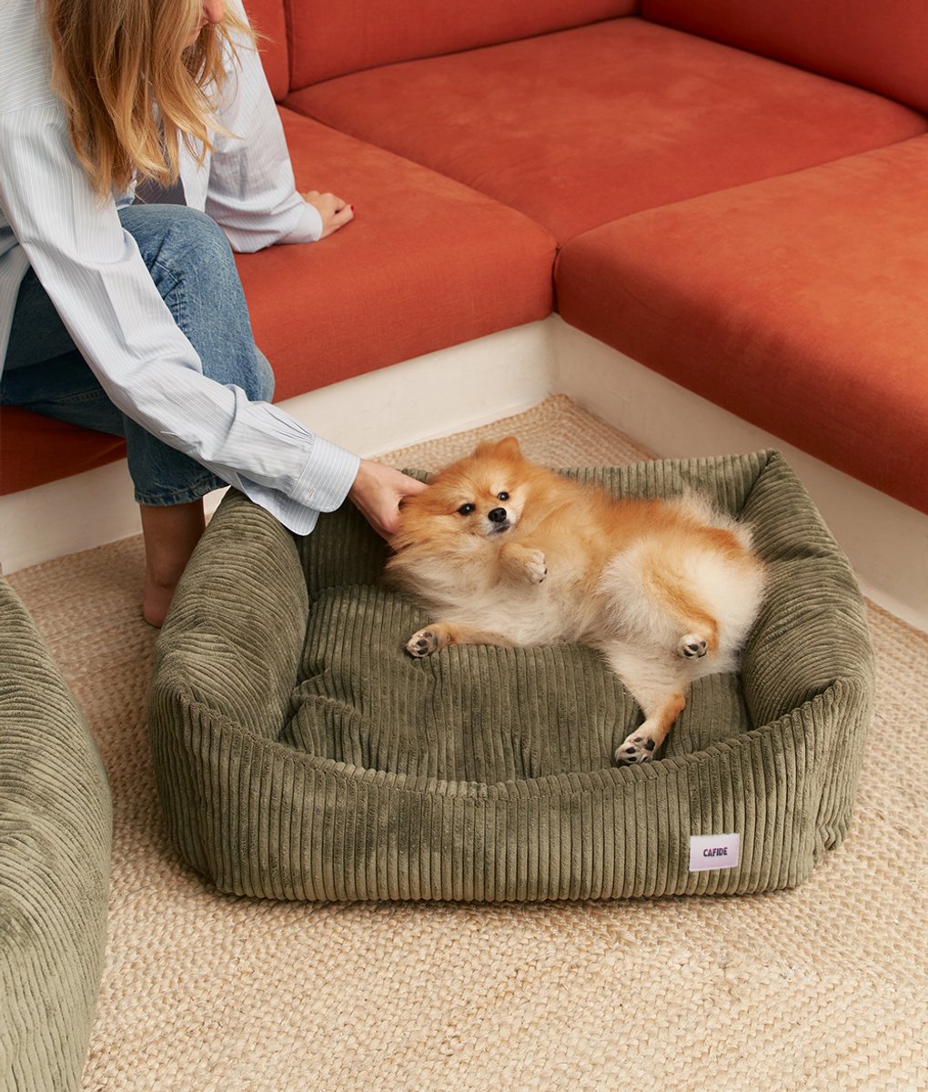 Comfortabele hondenmand van ribfluweel – Groen – Wasbaar, anti-slip & afritsbare hoes – Snozy