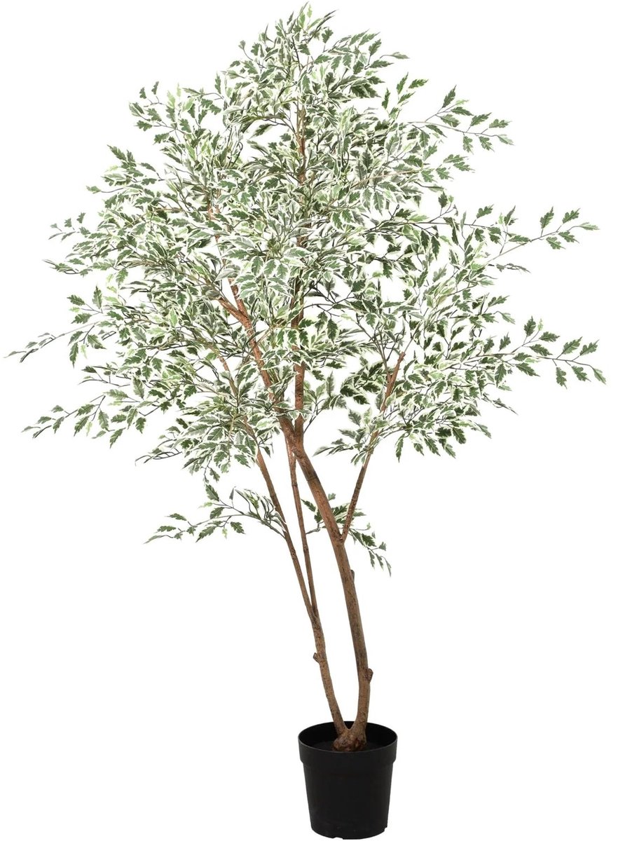 Trendyplants - Kunst Ficus Benjamina Variegata - Bonte Treurvijg - Kunstplant - Hoogte 185cm - Potmaat Ø20cm