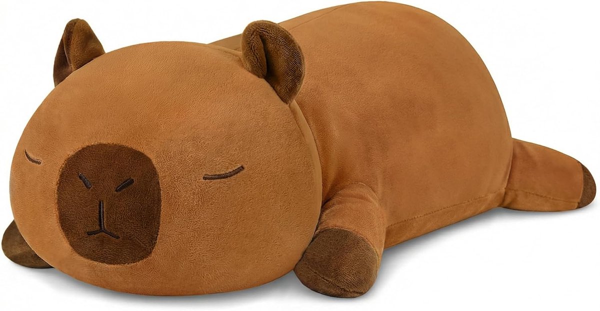 Capybara - Gewogen Knuffel - Kawaii Knuffel - Met Gewicht - Zachte Knuffel - Cadeau voor Kinderen en Volwassenen - 25 cm