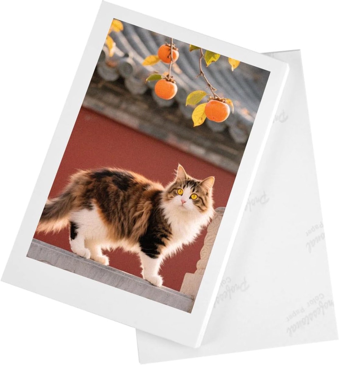 SnelShoppen - Glanzend Fotopapier A6, 100 Vellen, 10 x 15 cm, Inkjet Fotopapier, Hoog Contrast, Luminous Kleuren, 180 g/m² Wit, Ideaal voor Foto's en