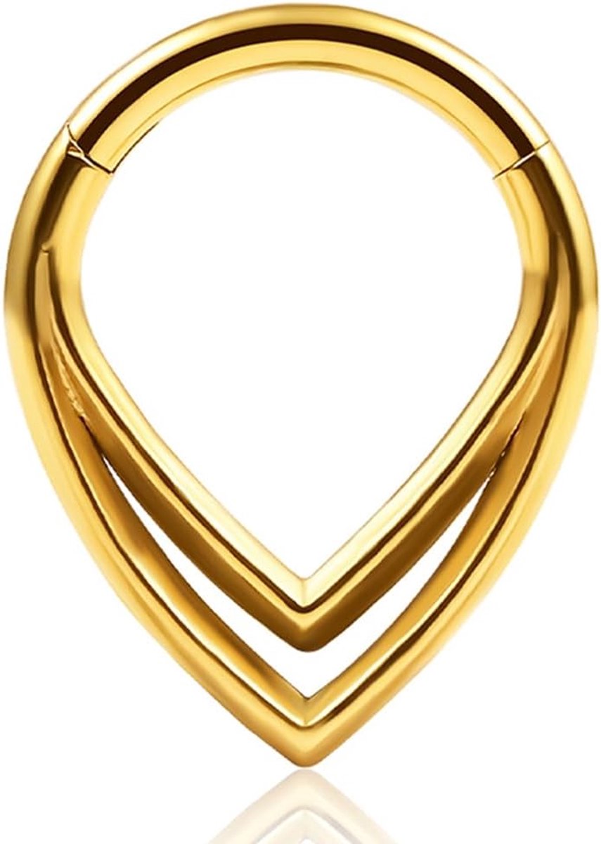 Septum Clicker Hinged segmentring 316L roestvrij staal 8 mm 10 mm 16 g neuspiercing ring cartilage rook daith trage-piercing sieraden voor vrouwen en mannen goud zilver