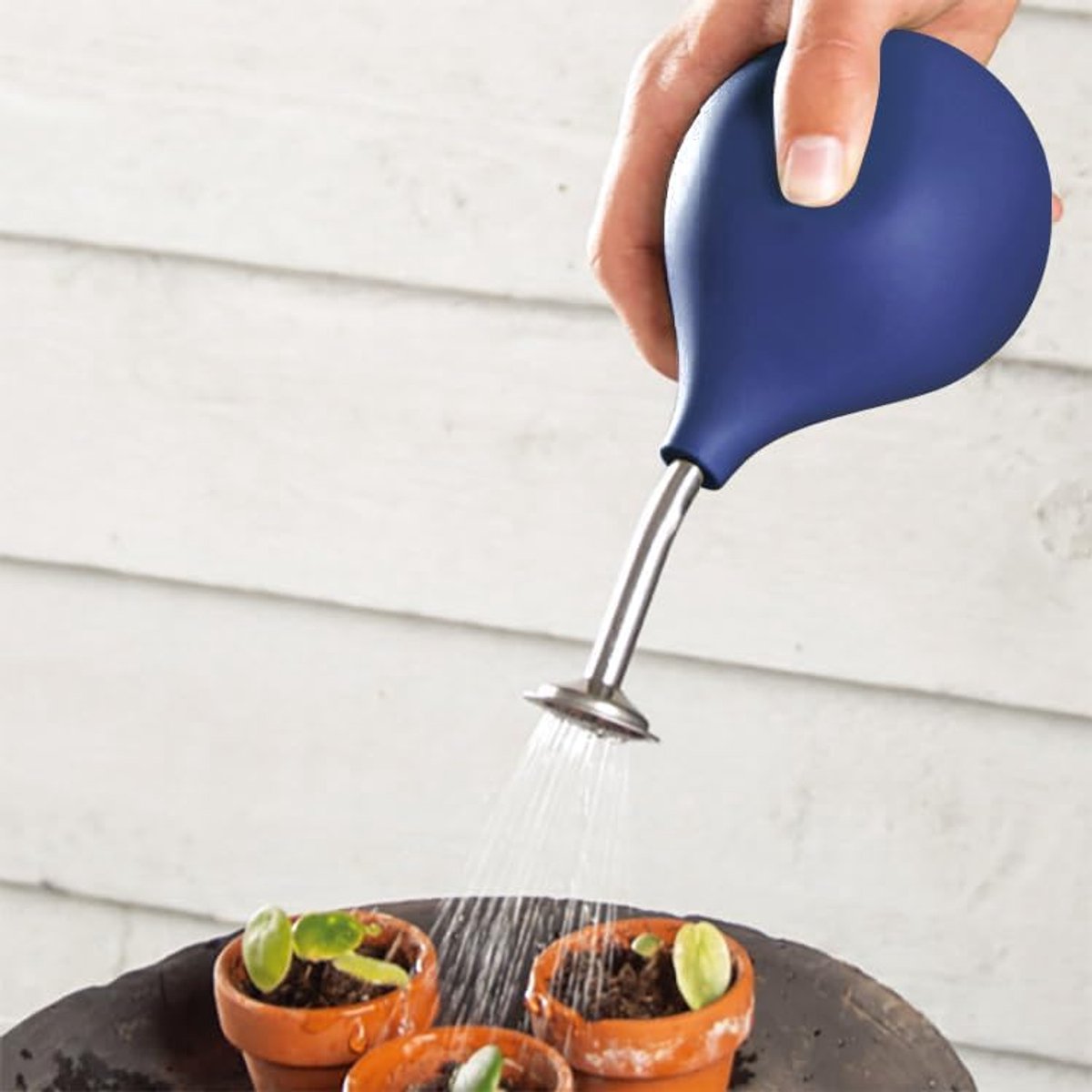 Gietsproeier, balsproeier, roestvrij stalen schenktuit, alternatief voor kleine planten, stekken, bloemen, zaailingen (blauw)
