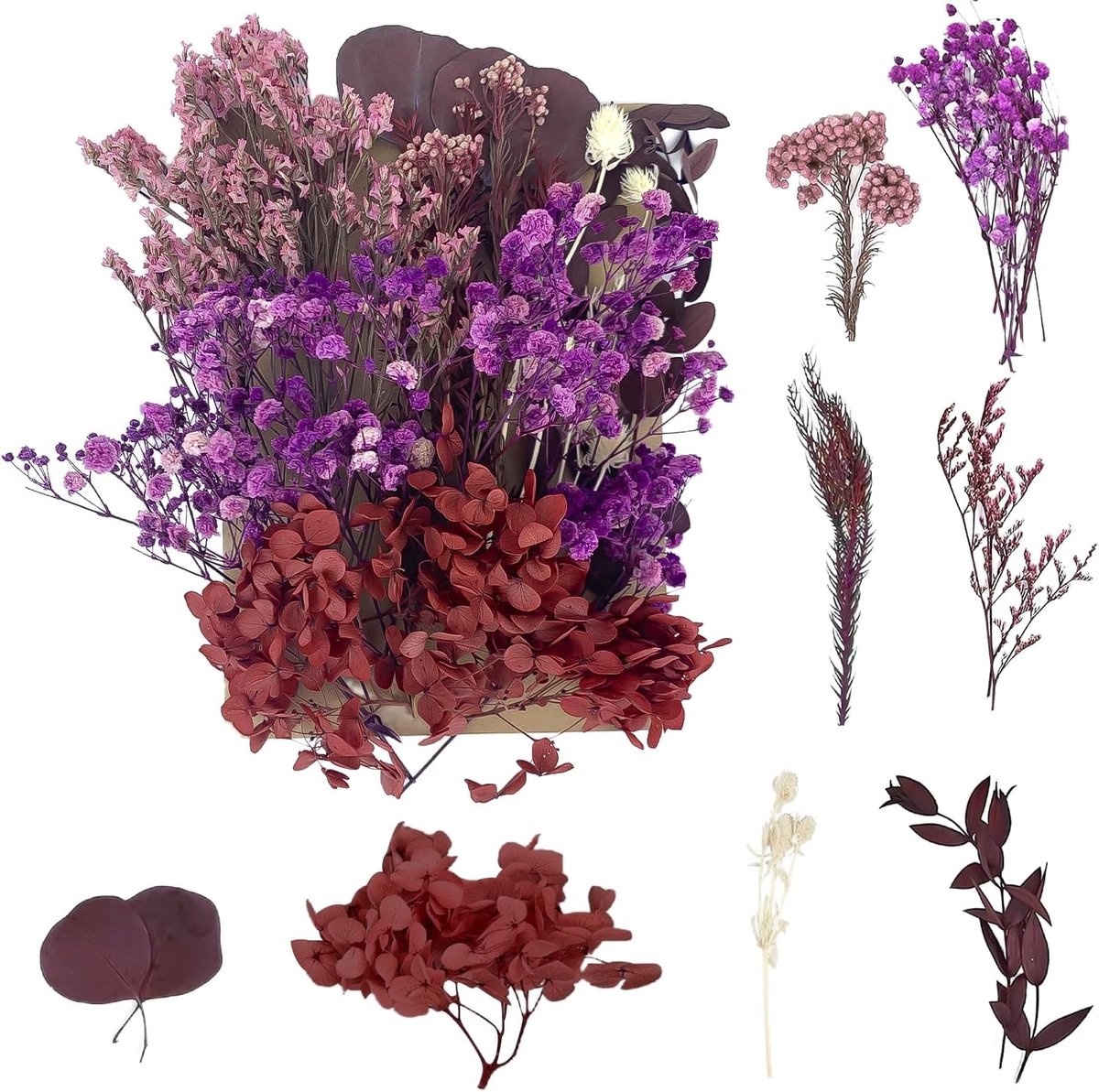 SnelShoppen - Gedroogde Bloemen, Geperste Bloemen voor DIY Kunst, Hars, Scrapbooking, Sieraden Maken, Decoraties in Rood en Roze - 30 Stuks