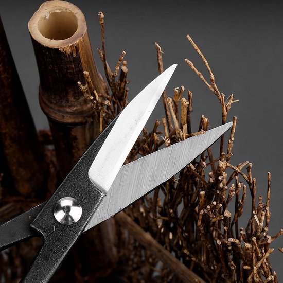Tuin Bonsai Schaar - Snoeigereedschap Planten - Precisie Snoeien - Roestvrij Staal - 190 mm - Zwart — afbeelding 2