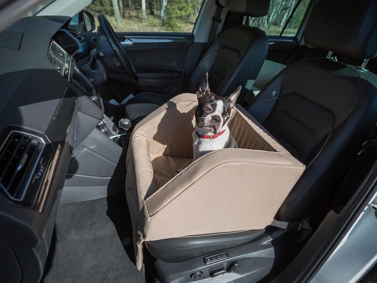 Hondenautostoel - Reisdrager Hond Kat - Veilig Vervoer - Dikke Wanden 6cm - 46x46x34 cm - Beige Oxford