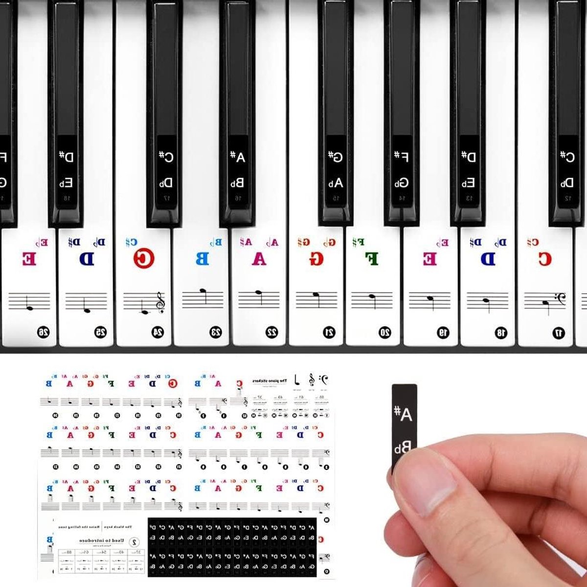 Piano Toets Stickers - Labels voor toetsen - Muziek Leren - Transparant en Herbruikbaar - 88 Toetsen Set - Transparant