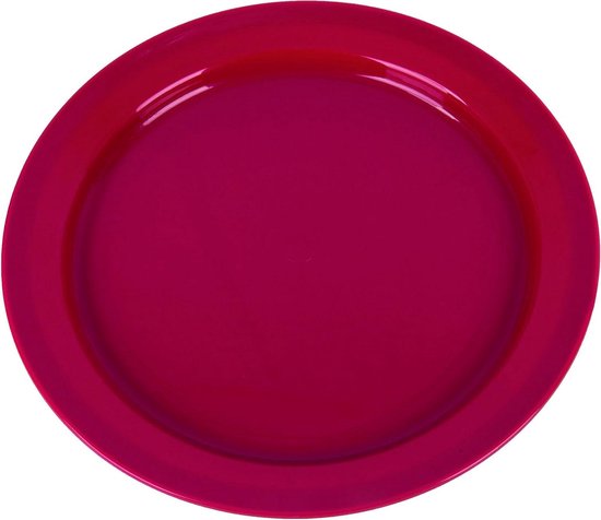 Set van 24 cm Platte Borden van Duurzaam Kunststof - Ideaal voor Buiten en Camping — afbeelding 2