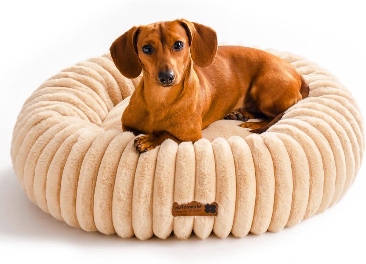 Kattenbed - Huisdier mand - Rustig slapen - Verhoogde rand - 64 x 64 cm - Camel