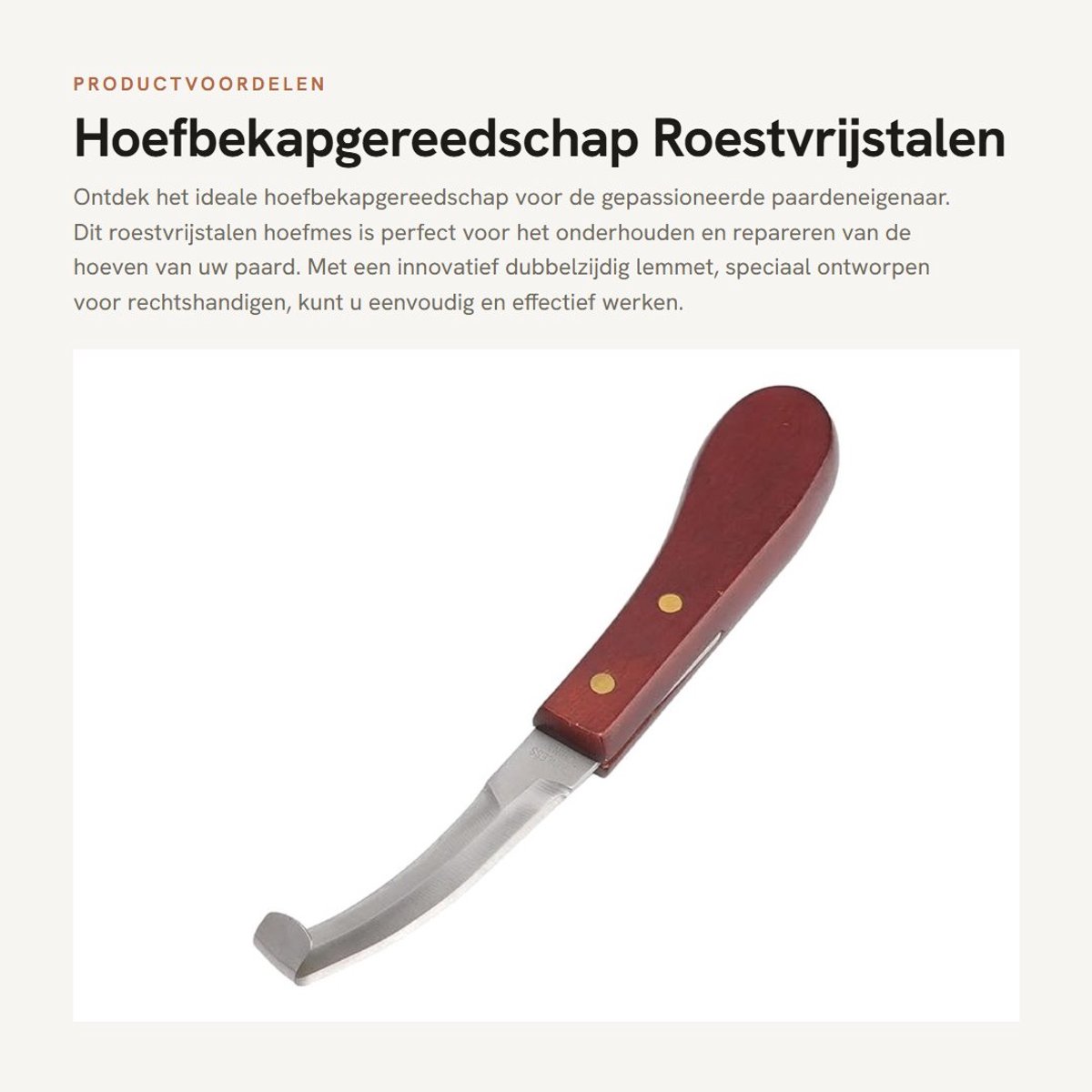 Dailygoods- Hoefbekapgereedschap Dubbelzijdig Lemmet - Roestvrijstalen Hoefmes - Rubberen Houten Handvat - Paardenhoefverzorging - 22,3 x 3,8 cm - Lichtgewicht 79 g