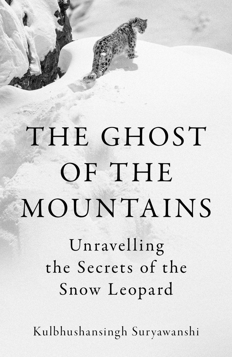 The Ghost Of The Mountains