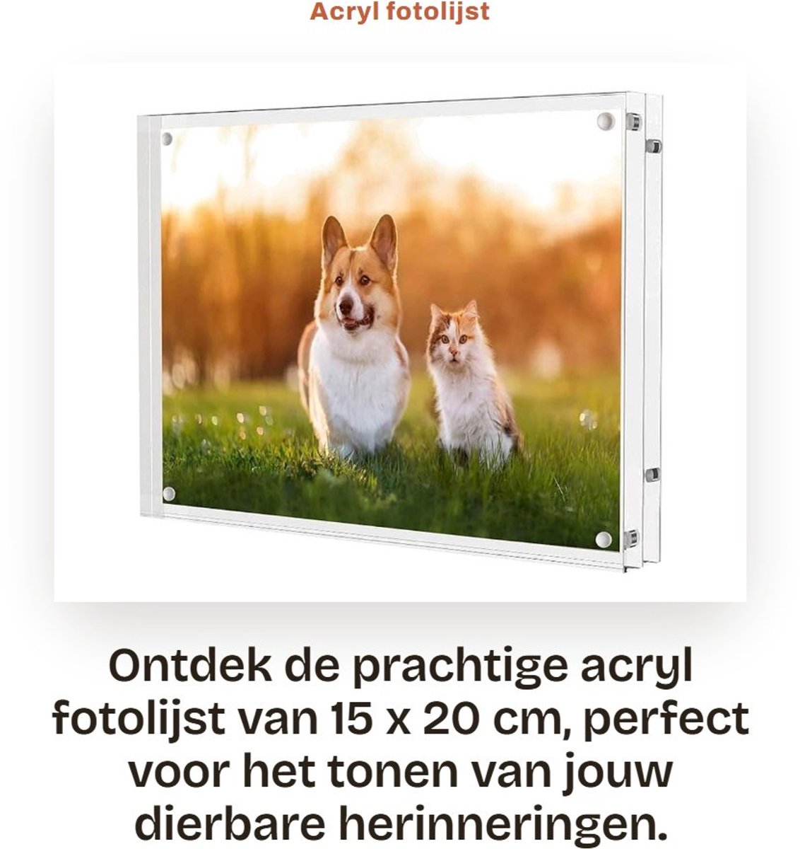 Dailygoods- Fotolijst 20x15 cm - Dubbelzijdige Fotolijst - Magnetische Fotolijst - Acryl Fotolijst - Transparante Fotolijst - Perfect voor Babyfoto's - Fotohouder