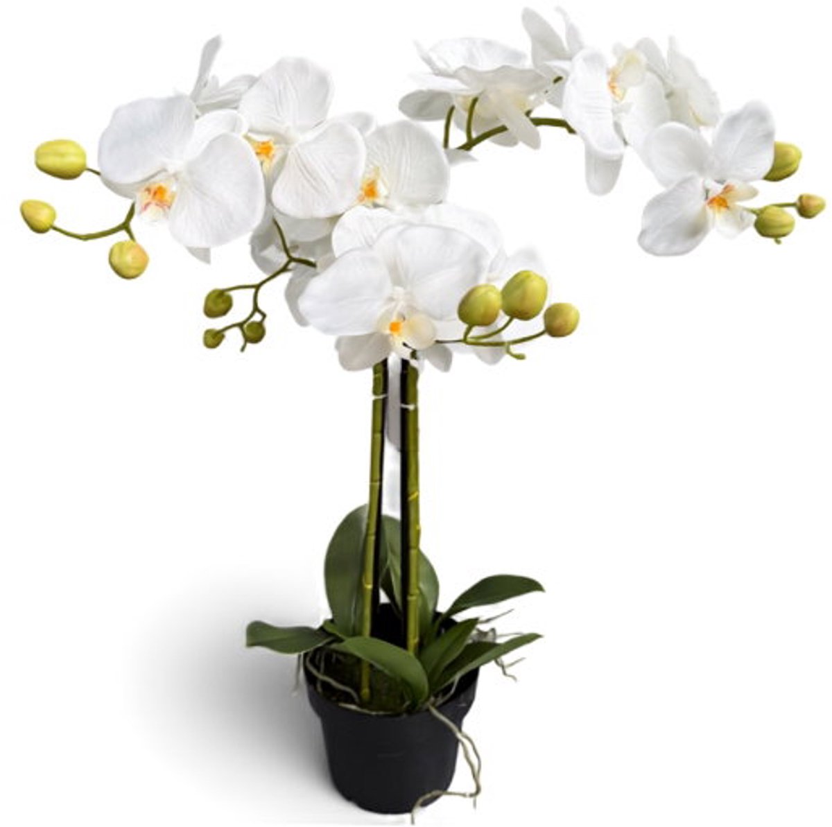 Orchidee wit in pot H 65 cm kunstplant Oosterik Home