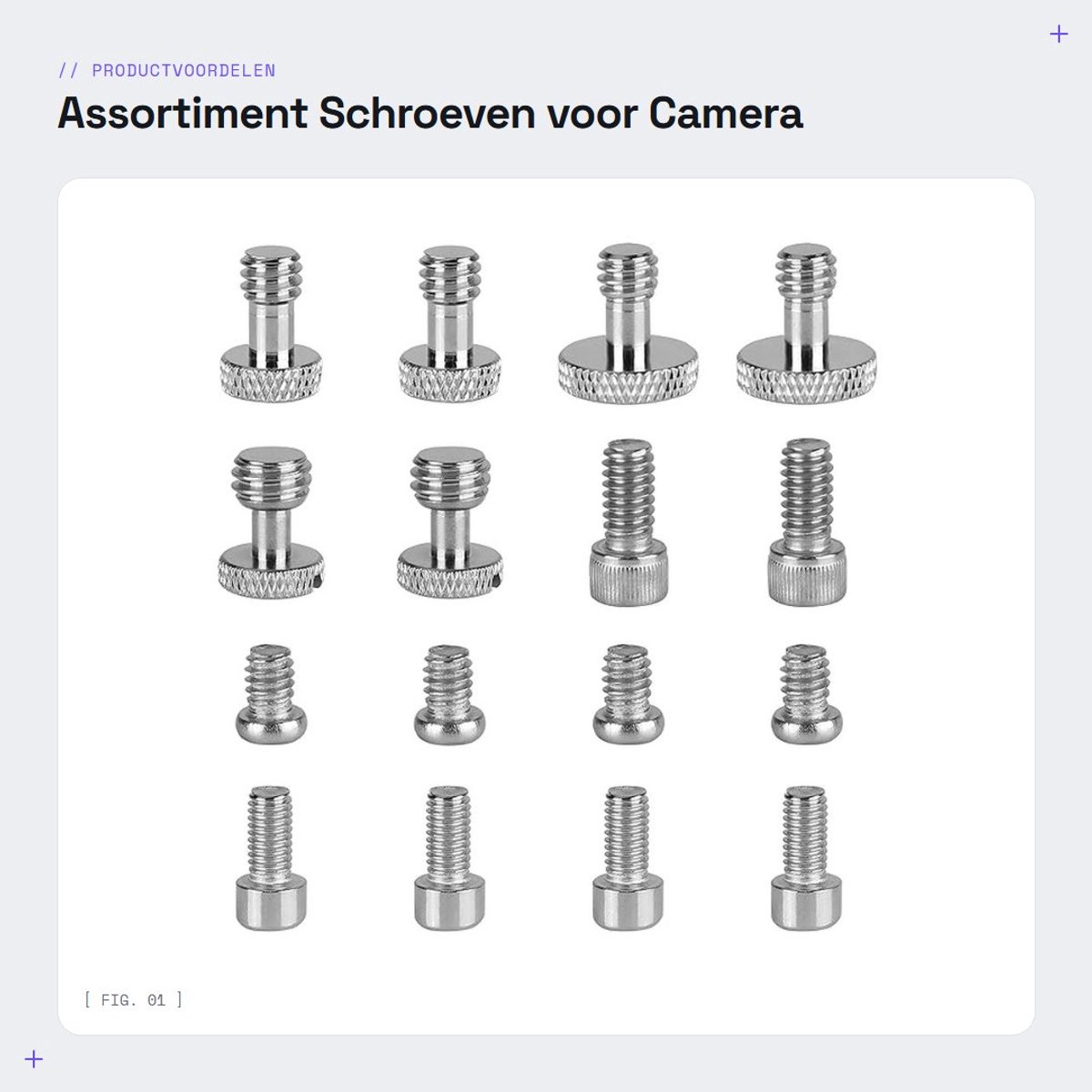 Dailygoods- Schroefmoeren Assortiment 16 Stuks - 1/4"-20 - 3/8"-16 - M5 - Sleufschroeven - Zeskantschroeven - Kunststof Koffer - Schroeven