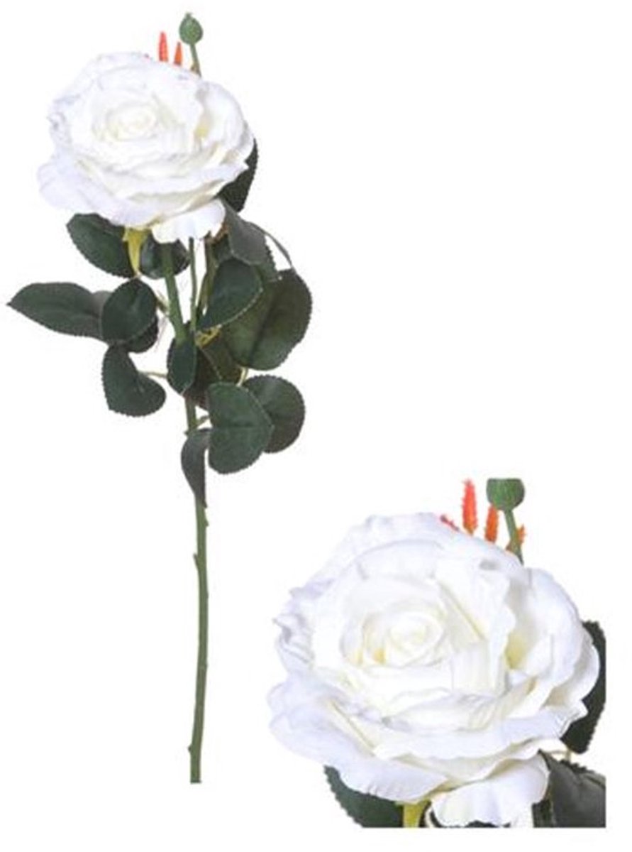 De Tijdloze Witte Roos van 66 cm