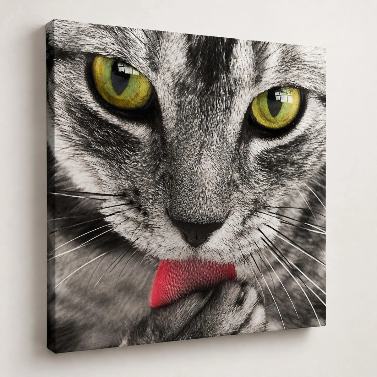 Canvas foto 60x60 cm - Wanddecoratie - Kat met tong - Muurdecoratie woonkamer - Slaapkamer decoratie - Kamer accessoires - Foto op canvas
