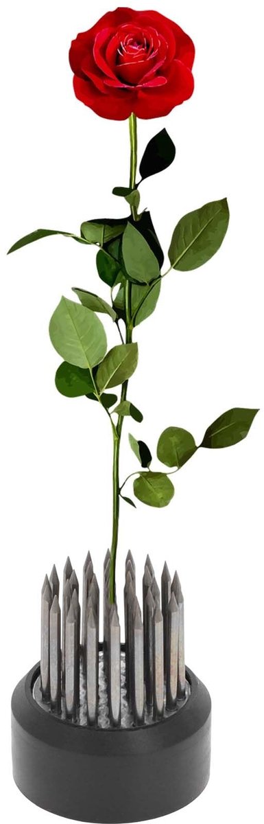 Dailygoods- Bloemenkikker - Kikker van roestvrij staal - 26 mm - Voor bloemstukken - Stabiliteit - Intuïtief ontwerp - Bloemschikking
