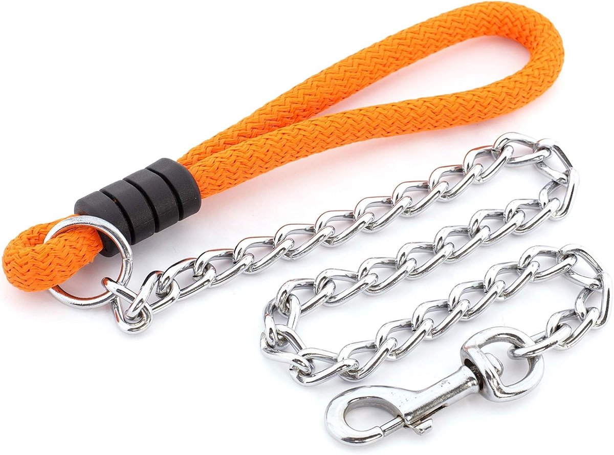 Hondenriem Ketting - Hondenlijn Nylon - Dagelijkse Wandeling - Roestvrij Staal - 100 cm - Oranje