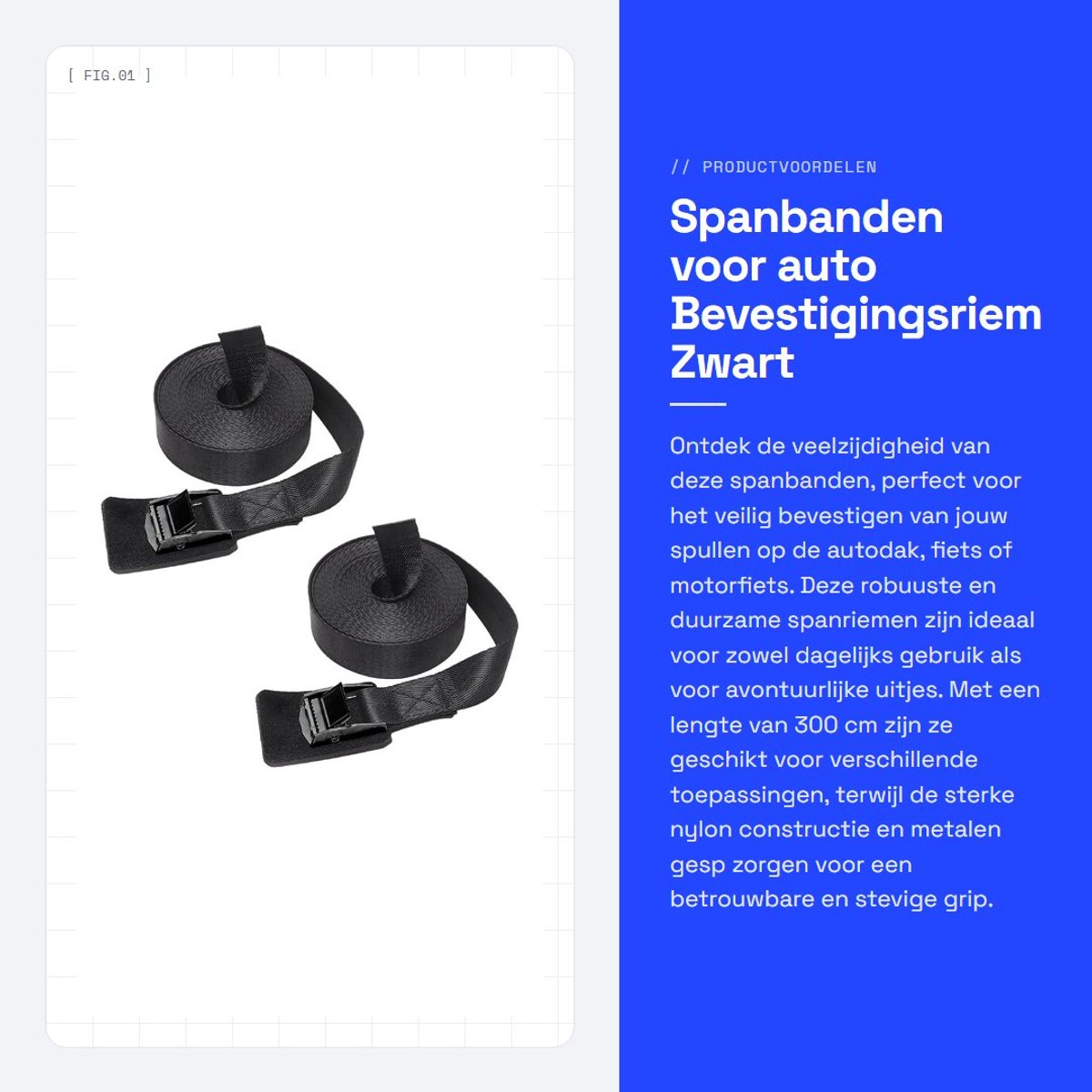 Dailygoods- Spanbanden Zwart 2 Stuks - Bevestigingsriem - Bindriemen - Dakdragerriemen - 2,5 x 300 cm - Nylon Metalen Gesp - Bindbanden