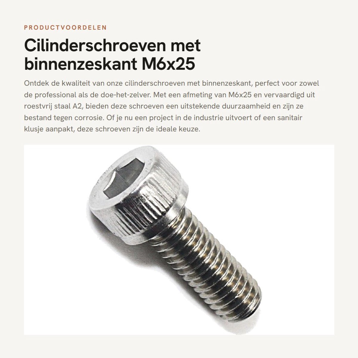 Dailygoods- Cilinderschroeven M6x25 - 20 Stuks - Roestvrij Staal A2 - Binnenzeskant - Hoogwaardige Grondstoffen - Voor Industrie en Doe-het-zelvers - Schroeven