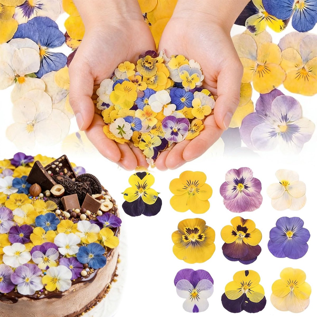 Dailygoods- Gedroogde Bloemen 50 Stuks - Eetbare Natuurlijke Viola Tricolor - Taartdecoratie - Cupcaketoppers - Hars Sieraden Maken - Puur Natuur