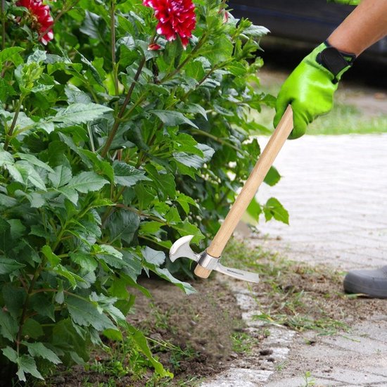 Pikhouweel - Kleine hak - Tuinonderhoud - Dubbele kop - 41 cm - Metaal — afbeelding 3