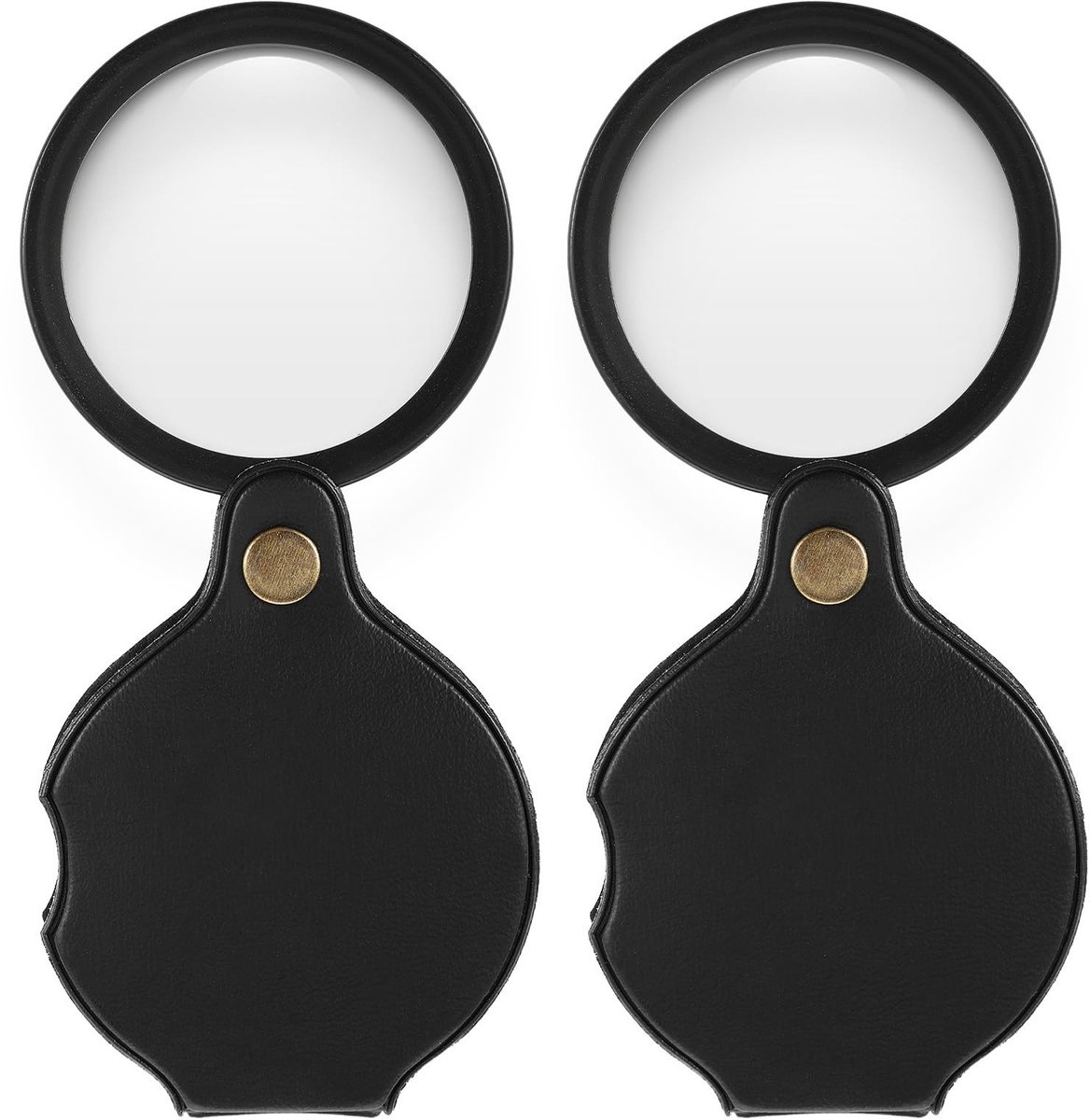Dailygoods - 2 Stuks Draagbare Zakvergrootglas met 20x Vergroting