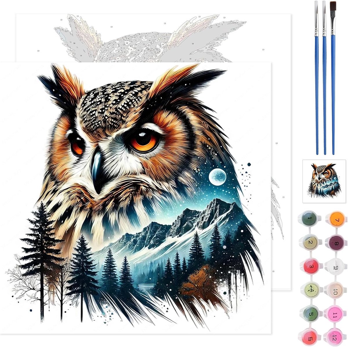 SnelShoppen - Uil Verf op Nummers Kit voor Volwassenen en Kinderen, DIY Schilderen op Canvas, Compleet met Acrylverf, 35x35cm, Muurdecoratie en Gesche