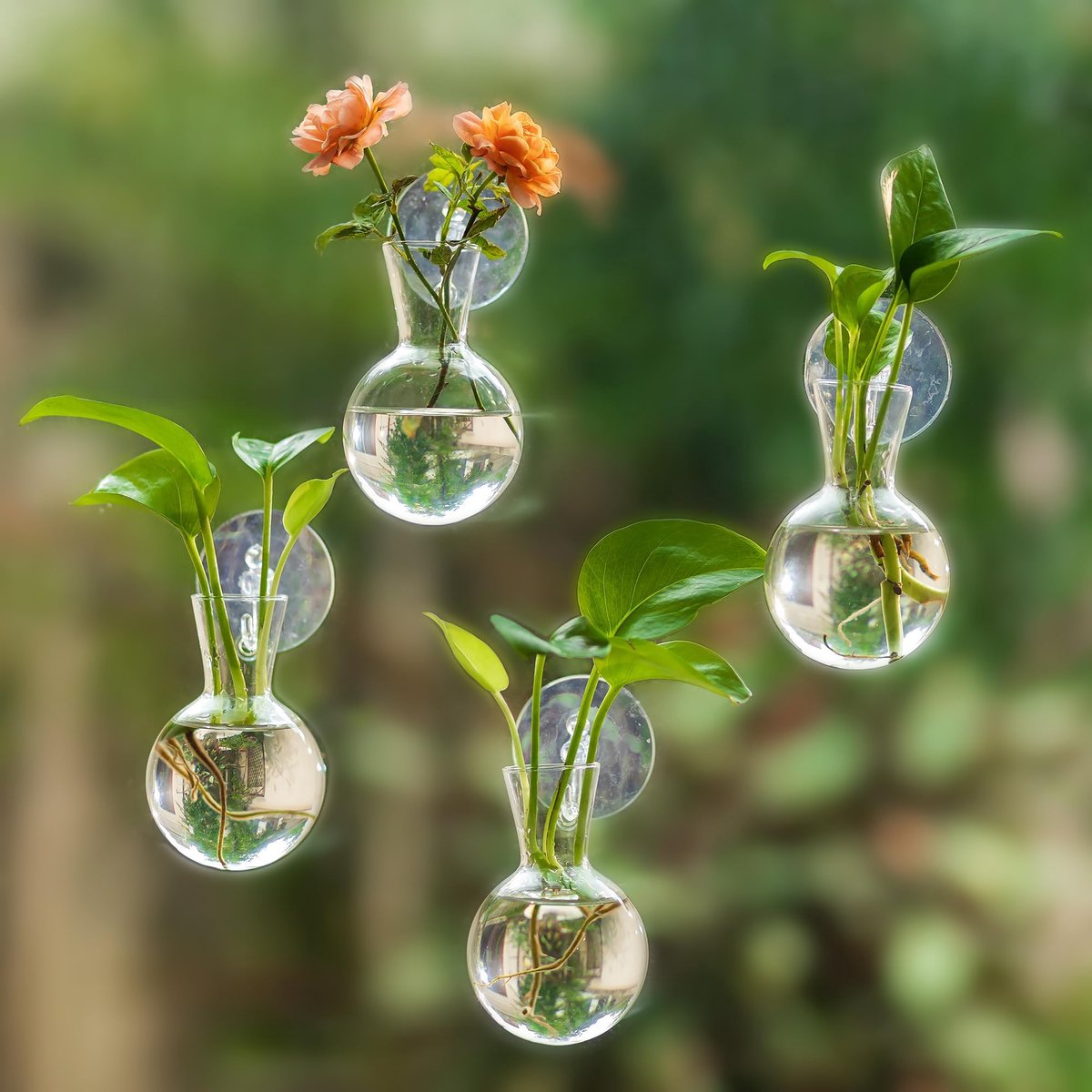 longziming -Mini Glazen Vaas met Zuignap – 4 Stuks Hydrocultuur Plantenvaas – Hangende Bloemenvaas voor Raam en Glas – Transparante Terrarium Decoratie – Voor Kantoor Woonkamer en Slaapkamer