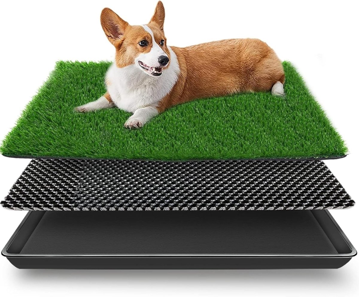 Kunstgras Hondentoilet 49 x 58 cm voor Kleine Honden - Herbruikbaar Puppy Toilet en Training Pad voor Dieren