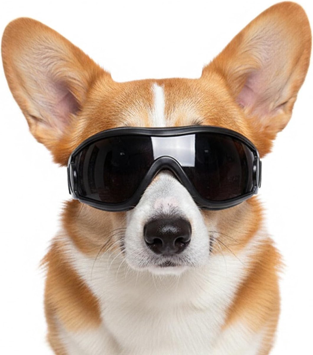 oogverzorging, hondenbril, kleine honden, 1 stuk, veiligheidsbril voor huisdieren, zwart frame, grijze lens voor wandelen, sneeuw, autorijden, motortocht, geschikt voor kleine tot