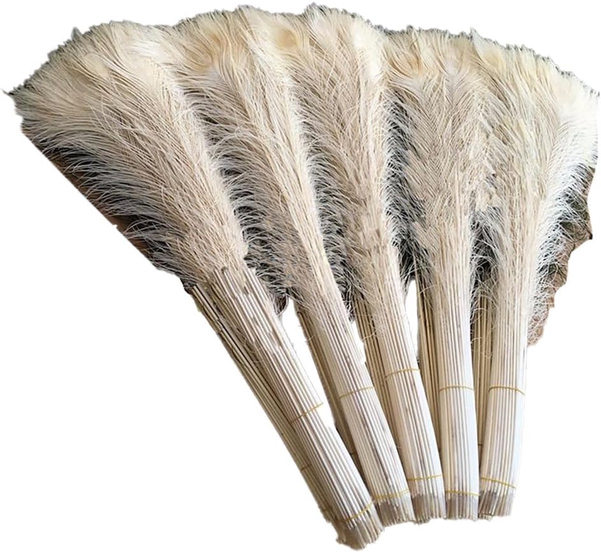 SnelShoppen - 10 Stuks Witte Pauwenveren Faded Pauwenveren voor Thuisdecoratie en Feesten, 80-90cm, Pauwenveren voor Crafts en Geschenken, Bruiloft, P