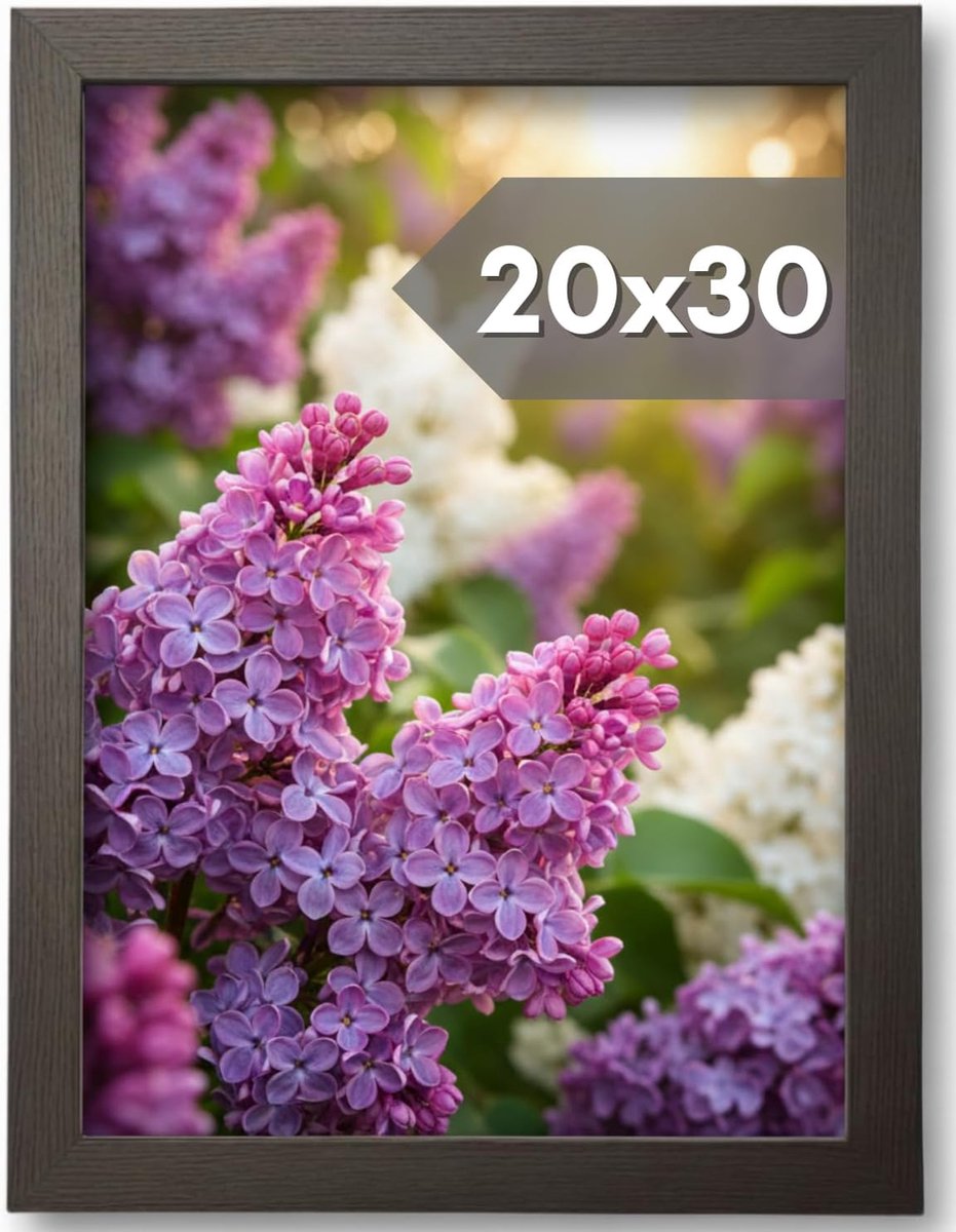 Fotolijst 20x30cm - Zwart Hout - Antireflecterend Plexiglas - Geschikt voor Foto’s en Diploma’s - SnelShoppen