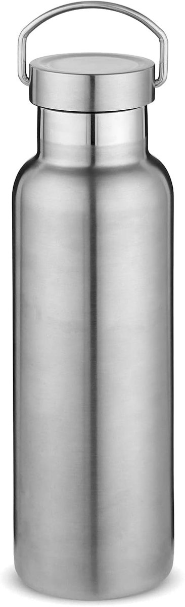 Roestvrij Staal Waterflessen, 600 ML Vacuüm Geïsoleerde Dubbele Wand Reisfles Met Lekvrij Deksel of Handvat, Metalen Herbruikbare Standaard Mond Fles Thermoses Voor School, Wandela