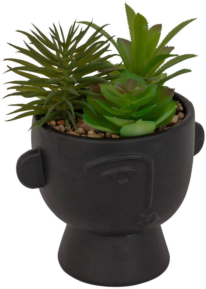 Kunstplant DUSTY