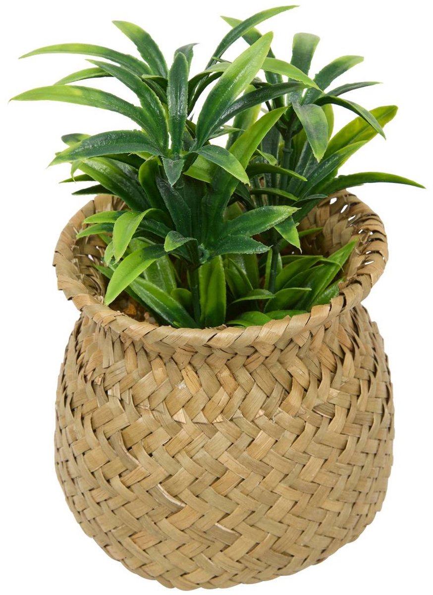 Kunstplant JIL