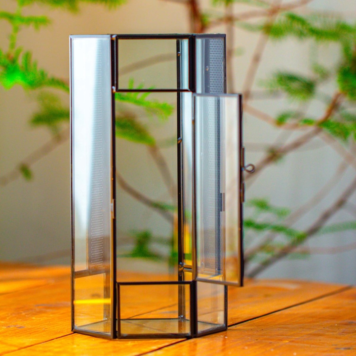 Omgoods - Klein Glazen Terrarium met Deur voor Insecten