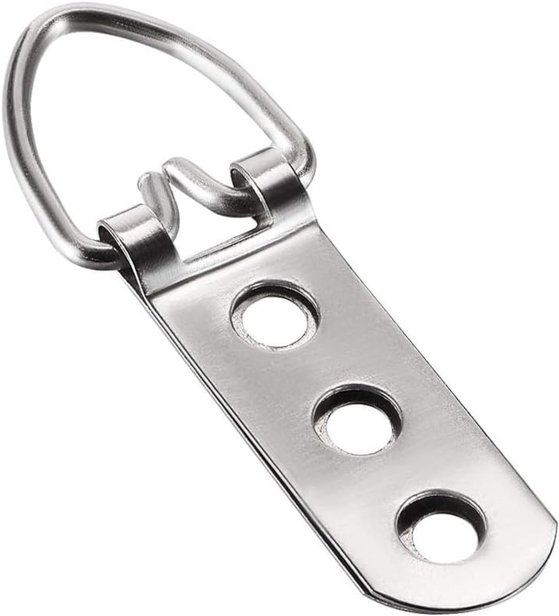 Omgoods- D-ring Fotohangers 30 Stuks - Ophanghaken Fotolijsten - Ophanghaken Schilderijen - Ophanghaken Spiegels - Ophanghaken Wanddecoratie - Duurzaam Staal
