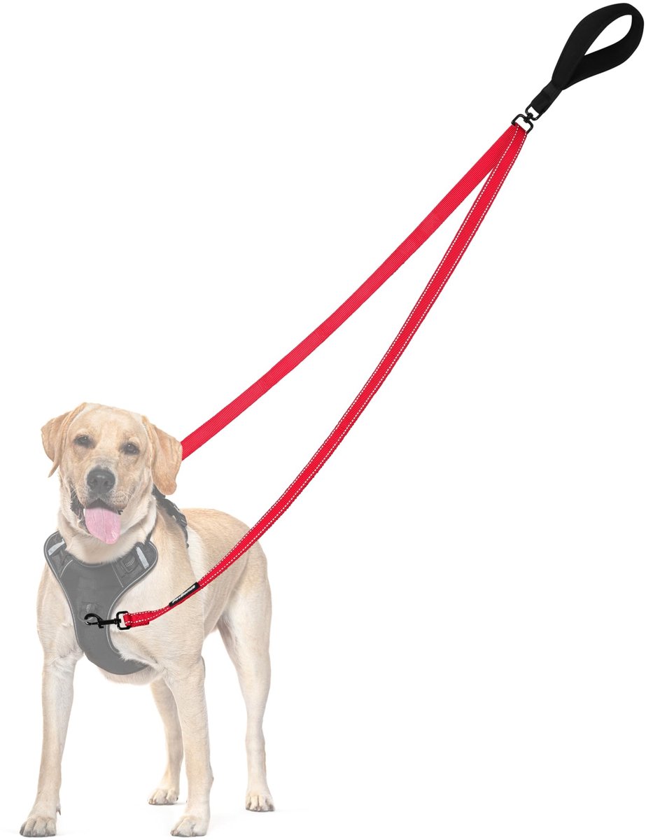 Omgoods - Anti-Trek Hondenlijn - Reflecterende Dubbele Leash voor Training