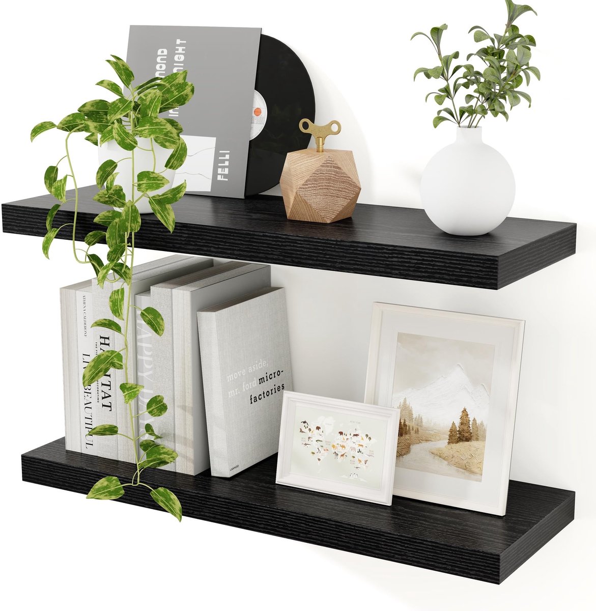 Omgoods - Set van 2 Extra Brede Wandplanken van MDF, Zwart, 60 cm