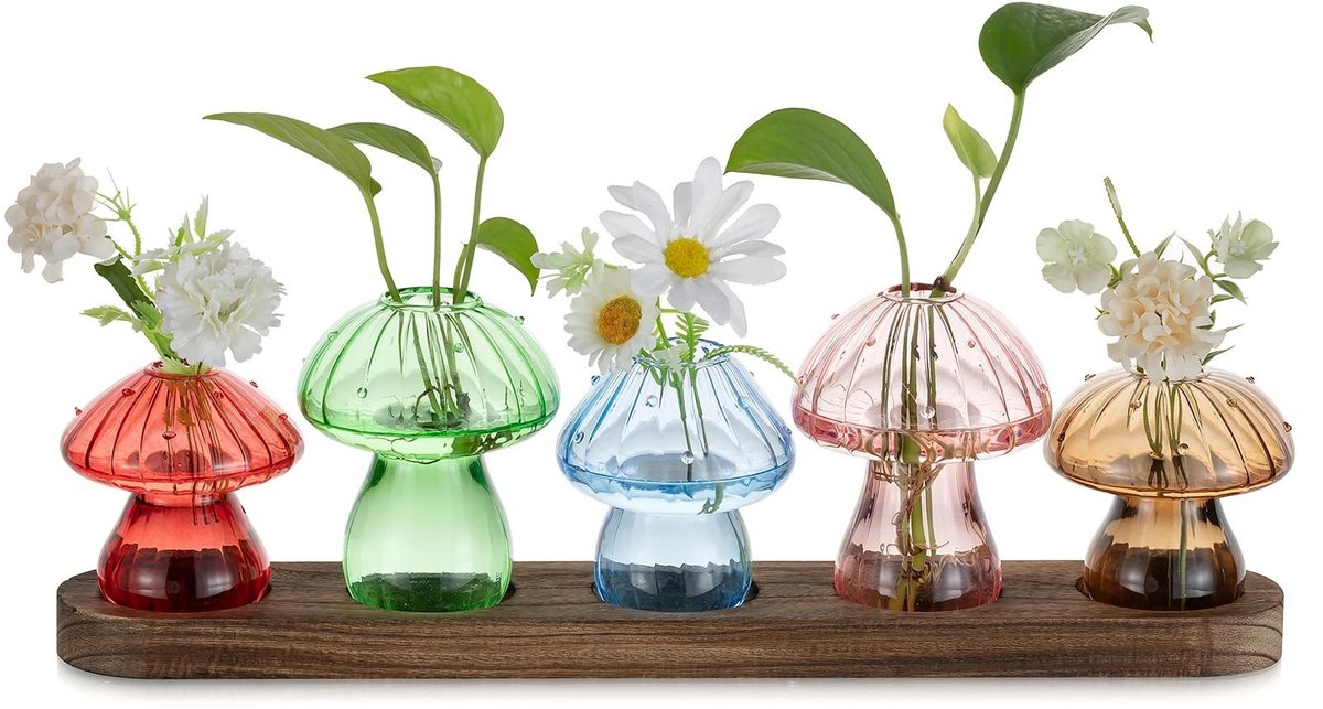 Omgoods - Set van 5 Glazen Vaasjes met Houten Basis voor Planten Terrarium